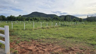 ที่ดินโฉนด วิวเขาล้อม บรรยากาศธรรมชาติ 1 ไร่