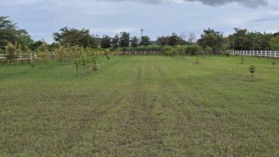 ที่ดินปลูกต้นไม้ผล ไม้ยืนต้น 2 ไร่ 2 งาน 1,600,000 บาท