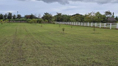 ที่ดินปลูกต้นไม้ผล ไม้ยืนต้น 2 ไร่ 2 งาน 1,600,000 บาท