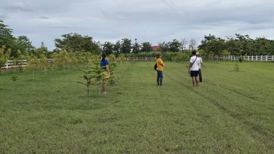 ที่ดินปลูกต้นไม้ผล ไม้ยืนต้น 2 ไร่ 2 งาน 1,600,000 บาท