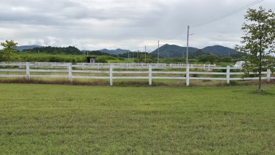 ที่ดินปลูกต้นไม้ผล ไม้ยืนต้น 2 ไร่ 2 งาน 1,600,000 บาท ที่ดินปลูกต้นไม้ผล ไม้ยืนต้น 2 ไร่ 2 งาน 1,600,000 บาท