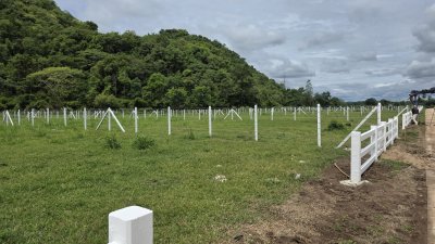 ที่ดินโฉนดติดภูเขา เนื้อที่ 300 ตร.วา อ.โพธาราม ที่ดินโฉนดติดภูเขา เนื้อที่ 300 ตร.วา อ.โพธาราม