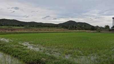 บ้านพร้อมสวนเกษตรผสมผสาน และโคกหนองนา 8 ไร่ ขาย 2,900,000บาท