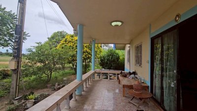 บ้านพร้อมสวนเกษตรผสมผสาน และโคกหนองนา 8 ไร่ ขาย 2,900,000บาท