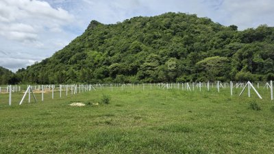 ที่ดินโฉนดติดภูเขา เนื้อที่ 300 ตร.วา อ.โพธาราม