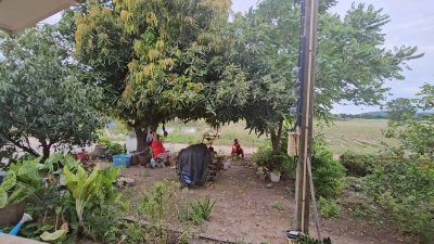 บ้านพร้อมสวนเกษตรผสมผสาน และโคกหนองนา 8 ไร่ ขาย 2,900,000บาท