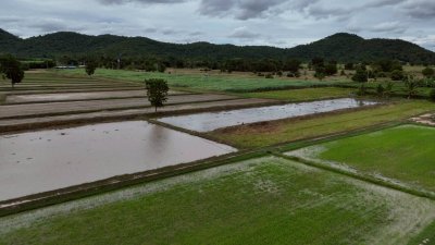 บ้านพร้อมสวนเกษตรผสมผสาน และโคกหนองนา 8 ไร่ ขาย 2,900,000บาท