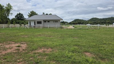 ที่ดินโฉนด วิวเขาล้อม วิวธรรมชาติ The Mount อ.โพธาราม