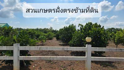 ที่ดินเหมาะทำเกษตร มีชุมชนเพื่อนบ้าน 2 ไร่ ไร่ละ 490,000 บาท