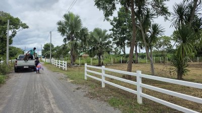 ที่ดินเหมาะกับการปลูกสร้างบ้านสวน 268 ตารางวา  600,000 บาท ที่ดินเหมาะกับการปลูกสร้างบ้านสวน 268 ตารางวา  600,000 บาท