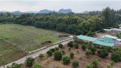 ที่ดินเหมาะทำเกษตร มีชุมชนเพื่อนบ้าน 2 ไร่ ไร่ละ 490,000 บาท