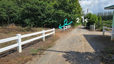 ที่ดินเหมาะทำเกษตร มีชุมชนเพื่อนบ้าน 2 ไร่ ไร่ละ 490,000 บาท