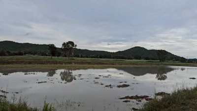 บ้านพร้อมสวนเกษตรผสมผสาน และโคกหนองนา 8 ไร่ ขาย 2,900,000บาท