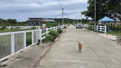 ที่ดินบนเนิน บรรยากาศมีวิวเขา 238 ตร.วา ราคา 650,000.- ที่ดินบนเนิน บรรยากาศมีวิวเขา 238 ตร.วา ราคา 650,000.-