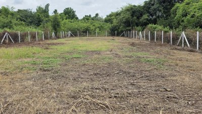 ที่ดินบนเนิน บรรยากาศมีวิวเขา 200 ตร.วา ราคา 480,000.-