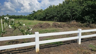 ที่ดินเหมาะทำเกษตร มีชุมชนเพื่อนบ้าน 2 ไร่ ไร่ละ 490,000 บาท