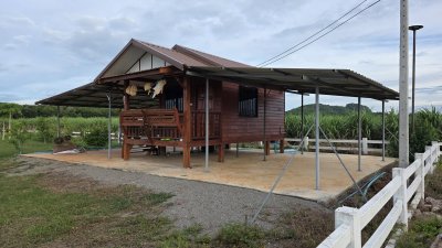 ที่ดินบ้านสวน ปัจจุบันปลูกสวนผสมผสาน 1 ไร่ 3 งาน 59 ตร.วา