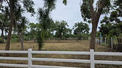 ที่ดินเหมาะกับการปลูกสร้างบ้านสวน 268 ตารางวา  600,000 บาท