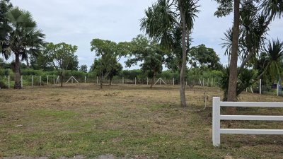 ที่ดินเหมาะกับการปลูกสร้างบ้านสวน 268 ตารางวา  600,000 บาท