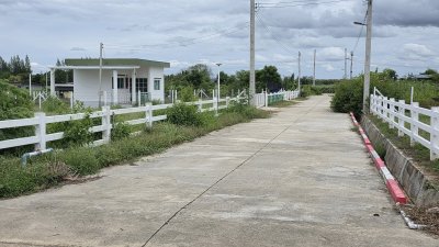 ที่ดินบนเนิน บรรยากาศมีวิวเขา 238 ตร.วา ราคา 650,000.-