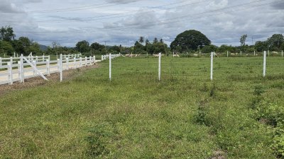 ที่ดินวิวภูเขาล้อม 1 ไร่ 40 ตร.วา 990,000 บาท ฟรีโอน