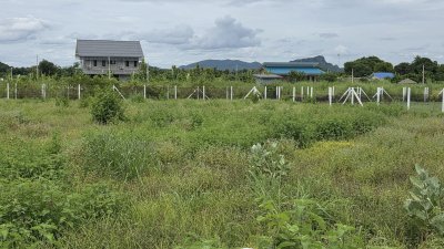 ที่ดินบนเนิน บรรยากาศมีวิวเขา 238 ตร.วา ราคา 650,000.-