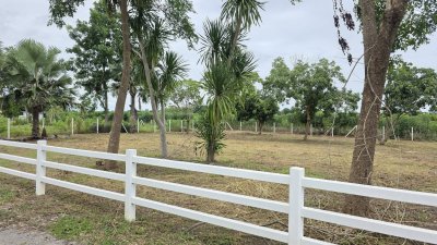 ที่ดินเหมาะกับการปลูกสร้างบ้านสวน 268 ตารางวา  600,000 บาท ที่ดินเหมาะกับการปลูกสร้างบ้านสวน 268 ตารางวา  600,000 บาท