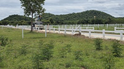 ที่ดินวิวภูเขาล้อม 1 ไร่ 40 ตร.วา 990,000 บาท ฟรีโอน