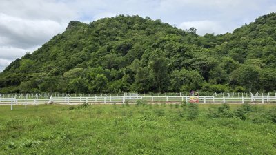 ที่ดินวิวภูเขาล้อม 1 ไร่ 40 ตร.วา 990,000 บาท ฟรีโอน