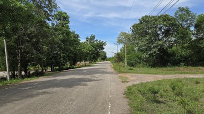 สวนต้นไม้ผสมผสานอายุกว่า 20 ปี อ.จอมบึง จ.ราชบุรี