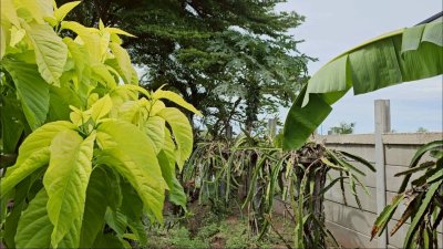 บ้านพร้อมที่ดินเนื้อที่ 385 ตร.วา ราคา 1,350,000 บาท