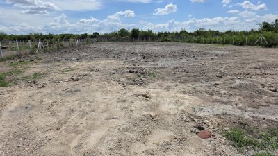 1 ไร่ 1 งาน 890,000.- ต.จอมบึง อ.จอมบึง จ.ราชบุรี