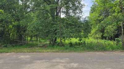 สวนป่าไม้ผสมผสานอายุกว่า 20 ปี 4 ไร่ 3 งาน ไร่ละ 460,000 บาท