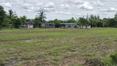 ติดสาธารณะหน้า-หลัง 250 ตร.วา ราคา 439,000.- ฟรีโอน