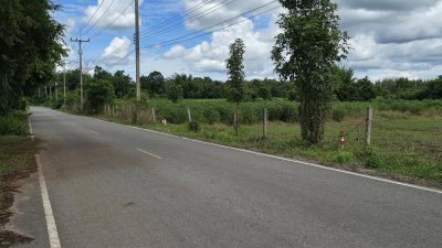 ติดสาธารณะหน้า-หลัง 250 ตร.วา ราคา 439,000.- ฟรีโอน