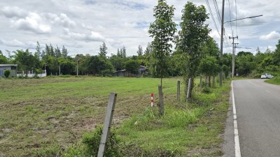 ที่ดิน 200 ตร.วา ติดถนนลาดยางอยู่ในชุมชนหมู่บ้าน