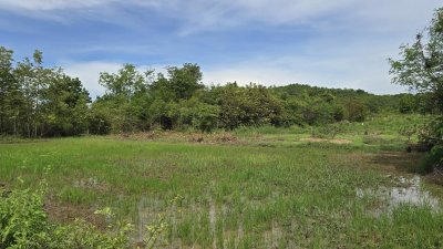 ดินโฉนดวิวเขา 1 ไร่ 1 งาน 450,000 บาท อ.จอมบึง จ.ราชบุรี