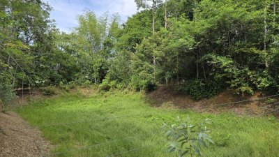 ที่ดินโฉนด 2 ไร่ ไร่ละ 460,000 บาท มีต้นไม้ผสมผสาน