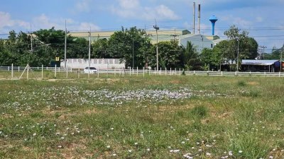 ที่ดินติดถนนหลักจอมบึง-ป่าหวาย 2 ไร่ ราคา 2,200,000 บาท