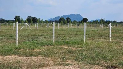 ที่ดินติดถนนหลักจอมบึง-ป่าหวาย 2 ไร่ ราคา 2,200,000 บาท