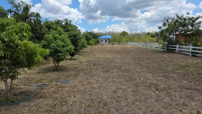 ที่สวนมะม่วง เนื้อที่ 350 ตร.วา ราคา 790,000 บาท