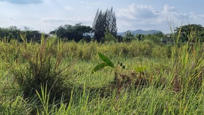 ขายที่ดินอำเภอสวนผึ้งติดถนนลาดยาง 5 ไร่