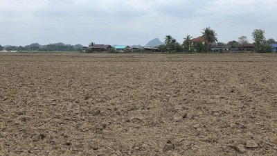 ที่ดินหน้ากว้างติดคลองชลประทาน 5 ไร่ 2 งาน ไร่ละ 450,000 บาท ที่ดินหน้ากว้างติดคลองชลประทาน 5 ไร่ 2 งาน ไร่ละ 450,000 บาท