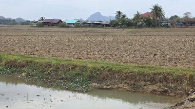 ที่ดินหน้ากว้างติดคลองชลประทาน 5 ไร่ 2 งาน ไร่ละ 450,000 บาท ที่ดินหน้ากว้างติดคลองชลประทาน 5 ไร่ 2 งาน ไร่ละ 450,000 บาท