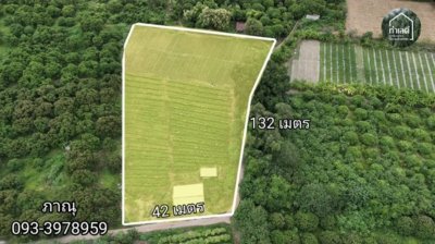 สวนเกษตรในอำเภอเมืองราชบุรี เนื้อที่ 5 ไร่ 1 งาน