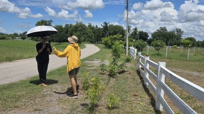 ที่ดินติดถนนลาดยาง มีสระเก็บน้ำ 350 ตร.วา ราคา 650,000 บาท