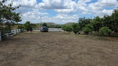 ที่สวนมะม่วง เนื้อที่ 350 ตร.วา ราคา 790,000 บาท