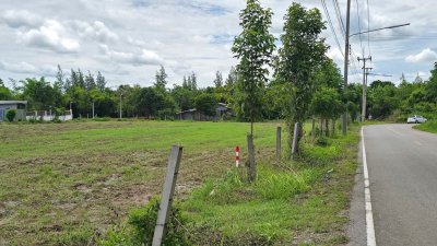 ที่ดินติดถนนลาดยาง 222 ตร.วา ราคา 399,000.- ฟรีโอน