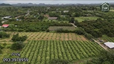 สวนเกษตรในอำเภอเมืองราชบุรี เนื้อที่ 5 ไร่ 1 งาน สวนเกษตรในอำเภอเมืองราชบุรี เนื้อที่ 5 ไร่ 1 งาน