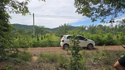 ที่ดินโฉนด 2 ไร่ ไร่ละ 460,000 บาท มีต้นไม้ผสมผสาน